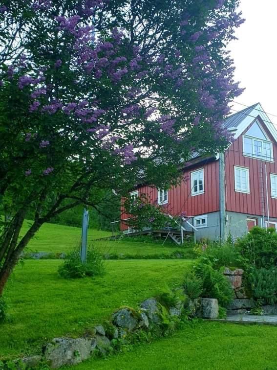 Kraemarvika Lodge Tromso Luaran gambar